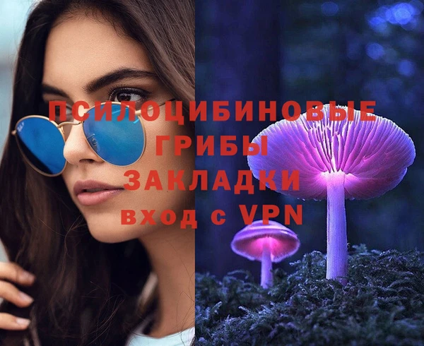 бошки Абаза