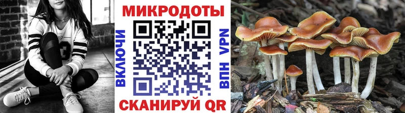 Псилоцибиновые грибы MAGIC MUSHROOMS Ильский